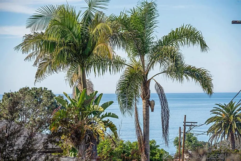 573 Amphitheatre Dr Del Mar, CA 92014