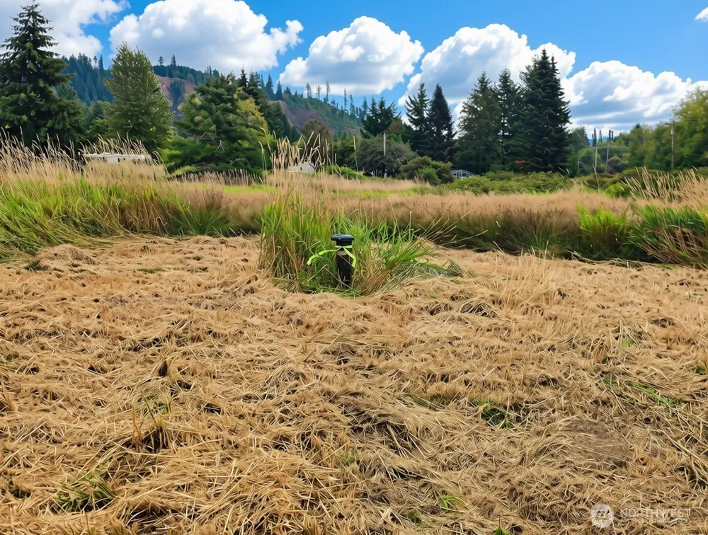 11301 Grandview Road Arlington, WA 98223