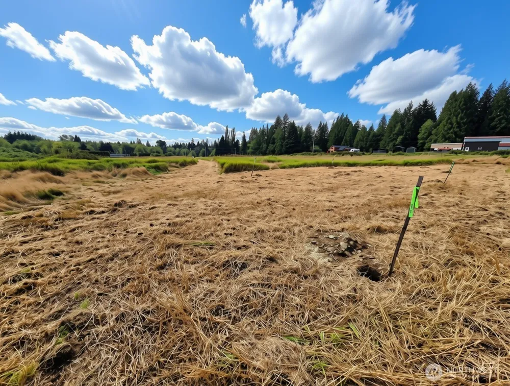 11301 Grandview Road Arlington, WA 98223