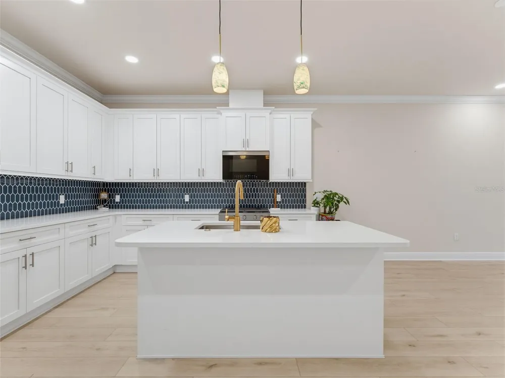 2525 MARIO WAY Clearwater, FL 33761