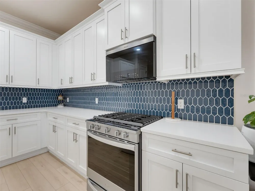 2525 MARIO WAY Clearwater, FL 33761