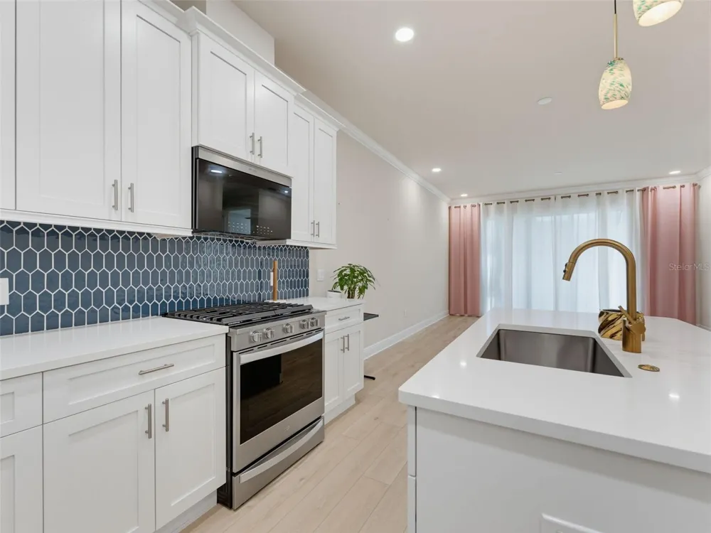 2525 MARIO WAY Clearwater, FL 33761