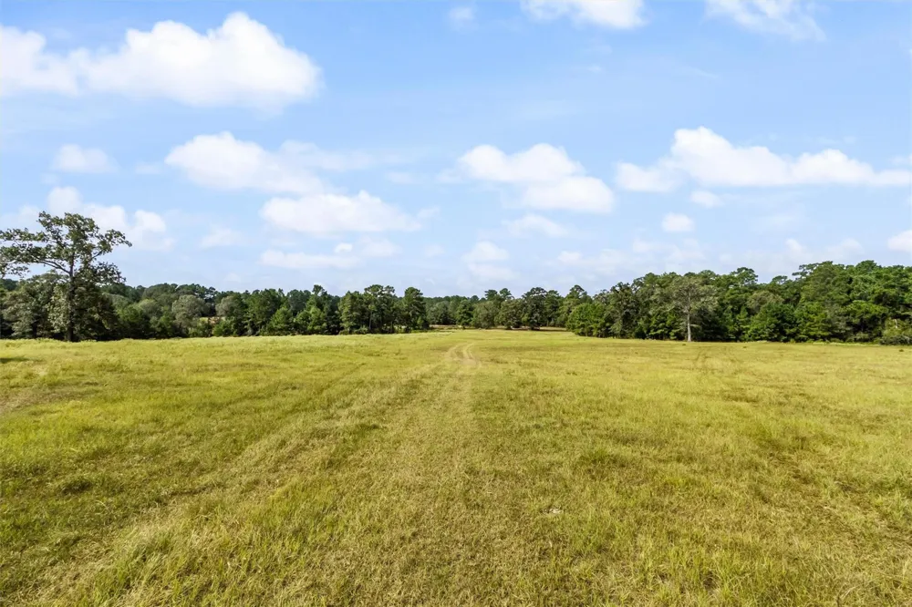 Rockin L Lane Navasota, TX 77868