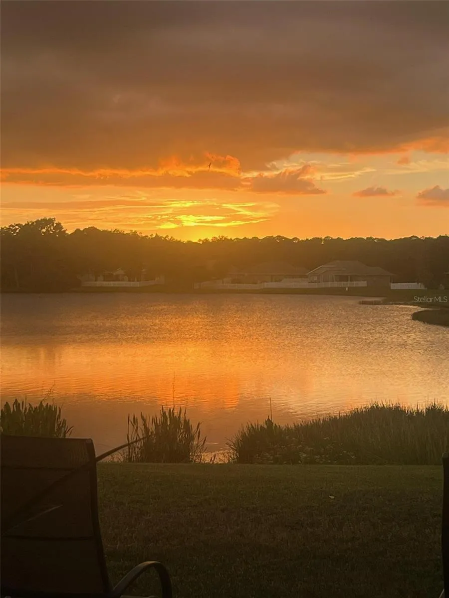 18022 LAKE REFLECTIONS BOULEVARD Lutz, FL 33558