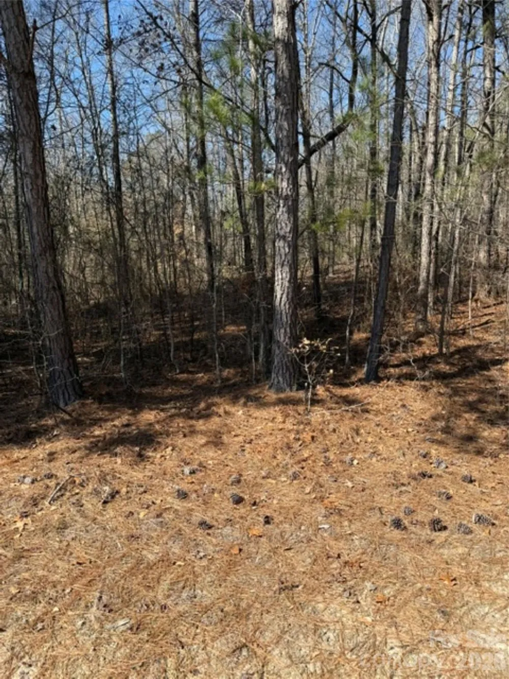 7155 Hwy 74 Highway E Lilesville, NC 28091