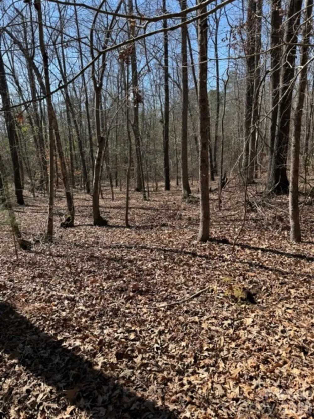 7155 Hwy 74 Highway E Lilesville, NC 28091