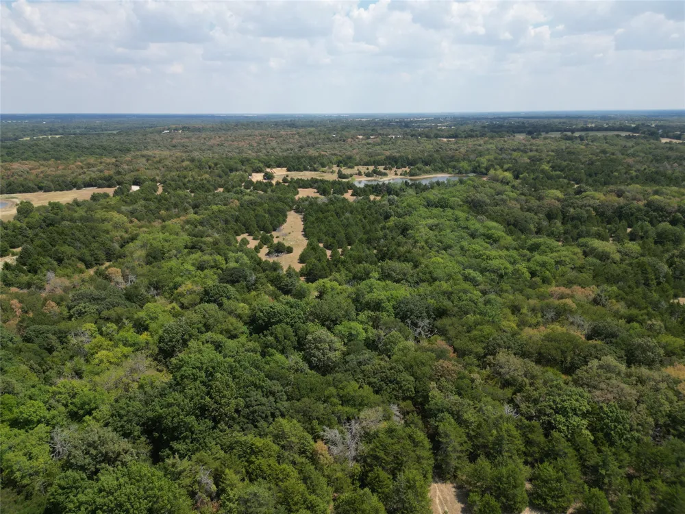 25 County Road 1019 Celeste, TX 75423
