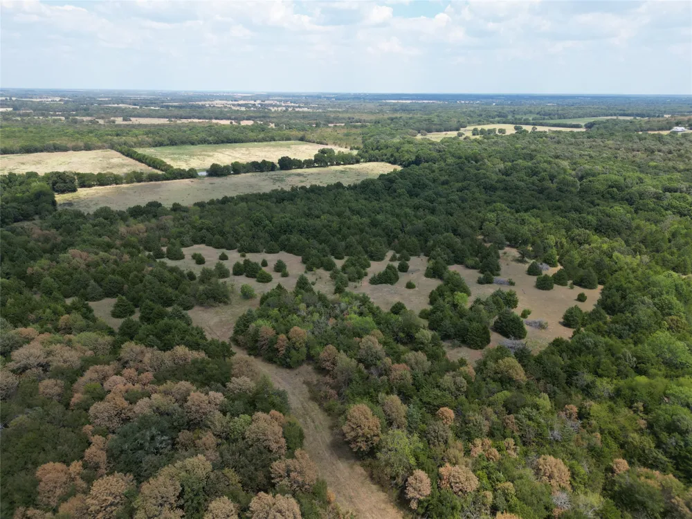 25 County Road 1019 Celeste, TX 75423