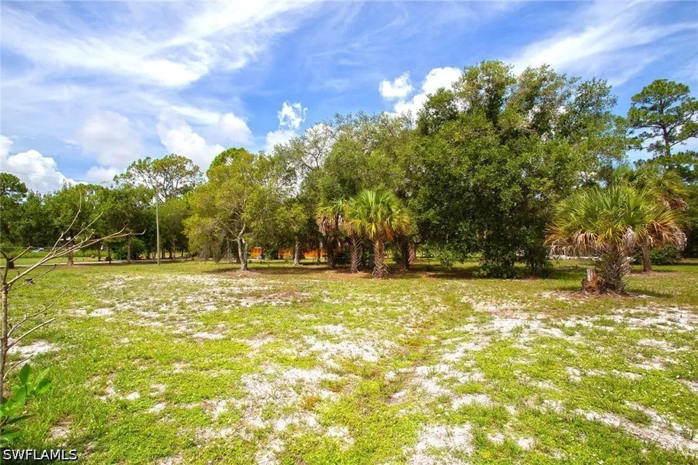 Cabbage Palm Street Clewiston, FL 33440