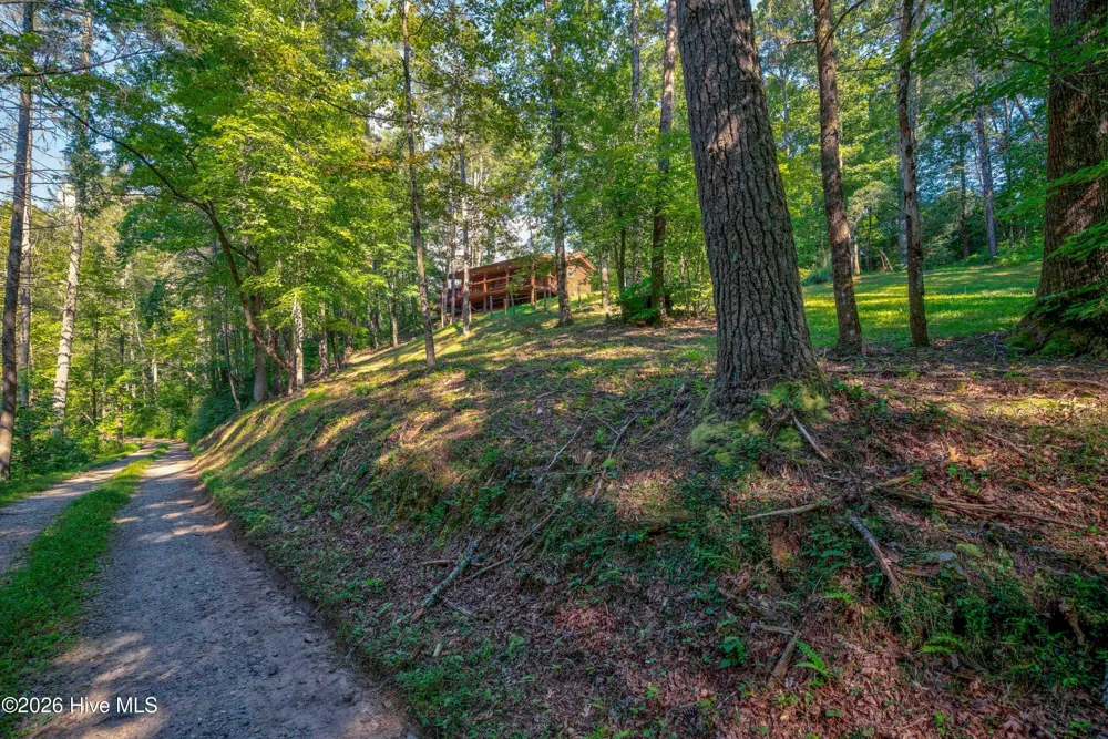 14551 Joe Brown Highway Murphy, NC 28906