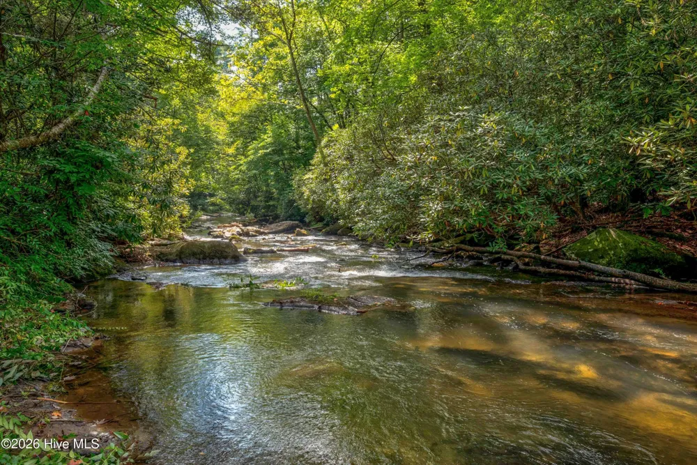 14551 Joe Brown Highway Murphy, NC 28906