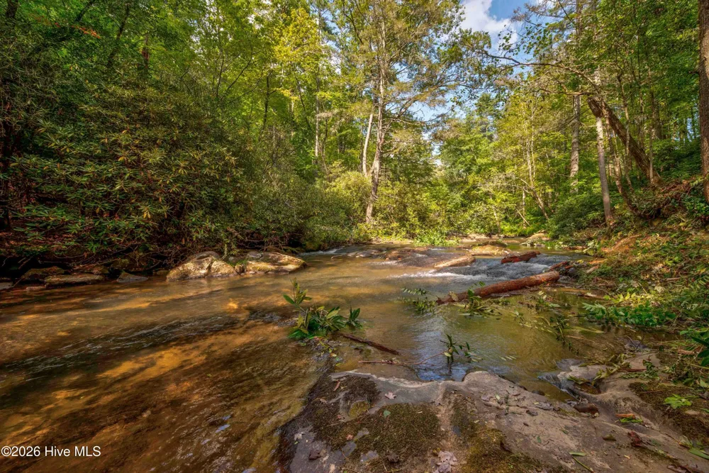 14551 Joe Brown Highway Murphy, NC 28906