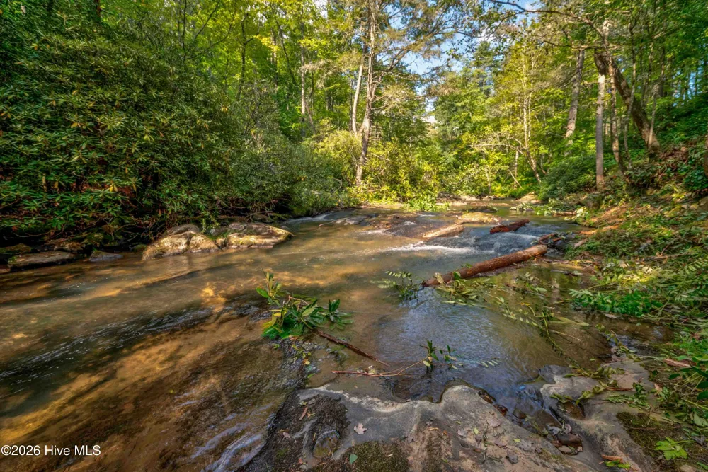 14551 Joe Brown Highway Murphy, NC 28906
