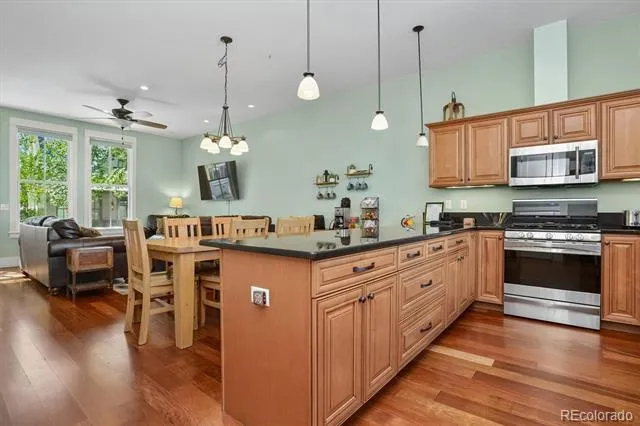 1012 River Park Road Buena Vista, CO 81211