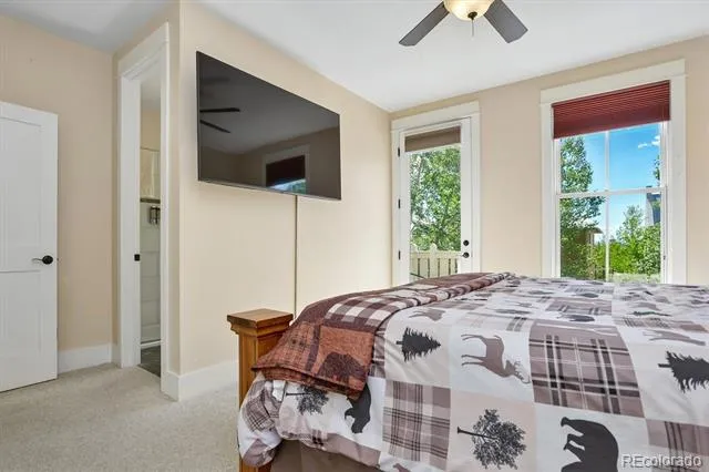 1012 River Park Road Buena Vista, CO 81211