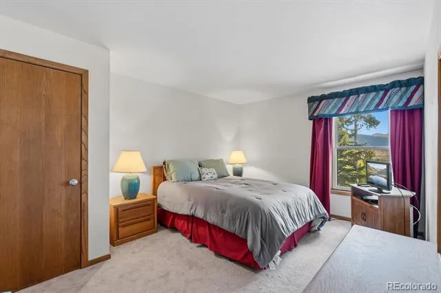 89310 Ryan Gulch Road #201 Silverthorne, CO 80498