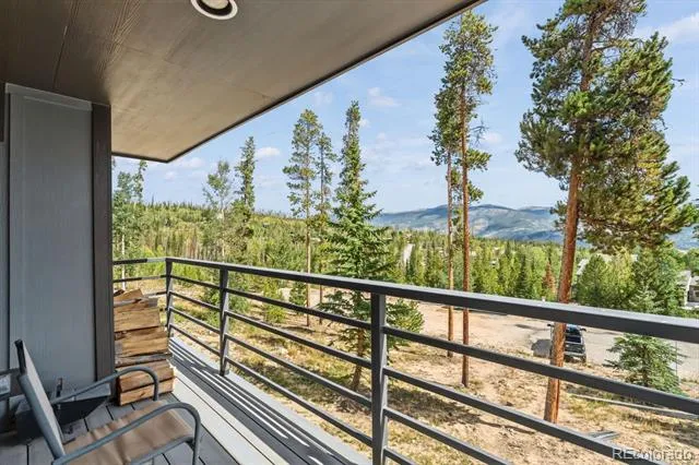 89310 Ryan Gulch Road #201 Silverthorne, CO 80498