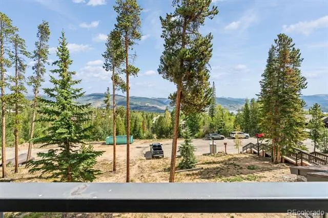 89310 Ryan Gulch Road #201 Silverthorne, CO 80498