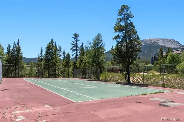 89310 Ryan Gulch Road #201 Silverthorne, CO 80498
