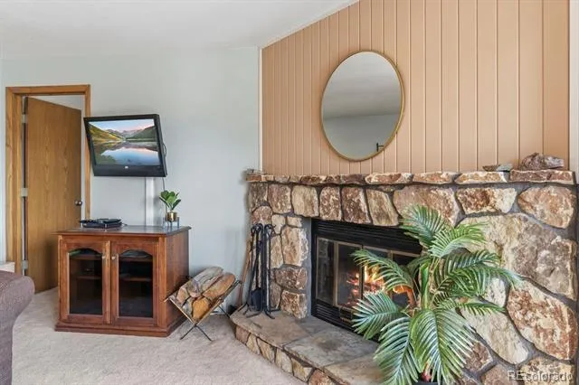89310 Ryan Gulch Road #201 Silverthorne, CO 80498