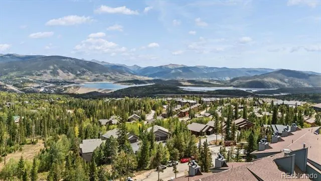 89310 Ryan Gulch Road #201 Silverthorne, CO 80498