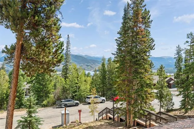 89310 Ryan Gulch Road #201 Silverthorne, CO 80498
