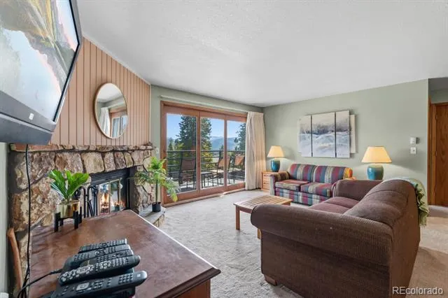 89310 Ryan Gulch Road #201 Silverthorne, CO 80498