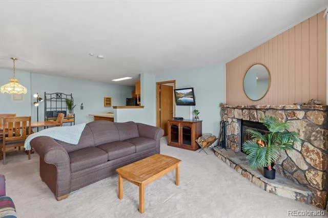 89310 Ryan Gulch Road #201 Silverthorne, CO 80498