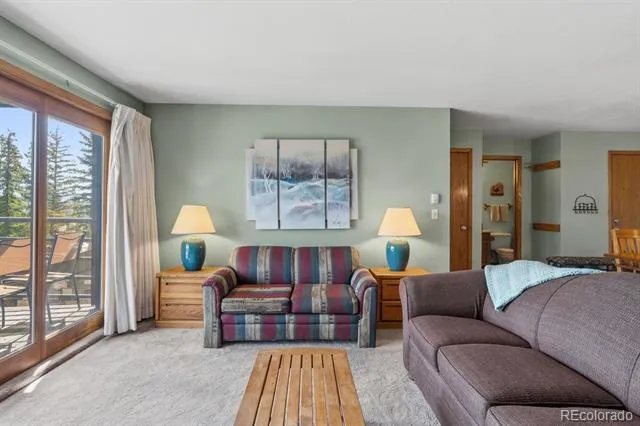 89310 Ryan Gulch Road #201 Silverthorne, CO 80498