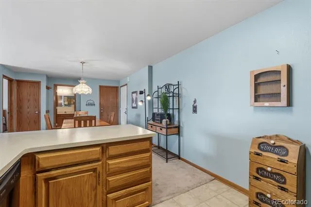89310 Ryan Gulch Road #201 Silverthorne, CO 80498