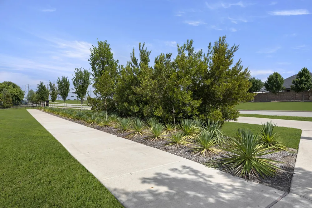2523 Brunswick Way Allen, TX 75013