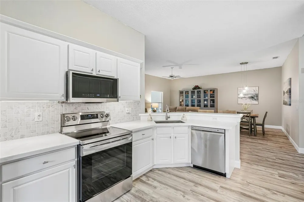2247 WORTHINGTON GREENS DRIVE Sun City Center, FL 33573