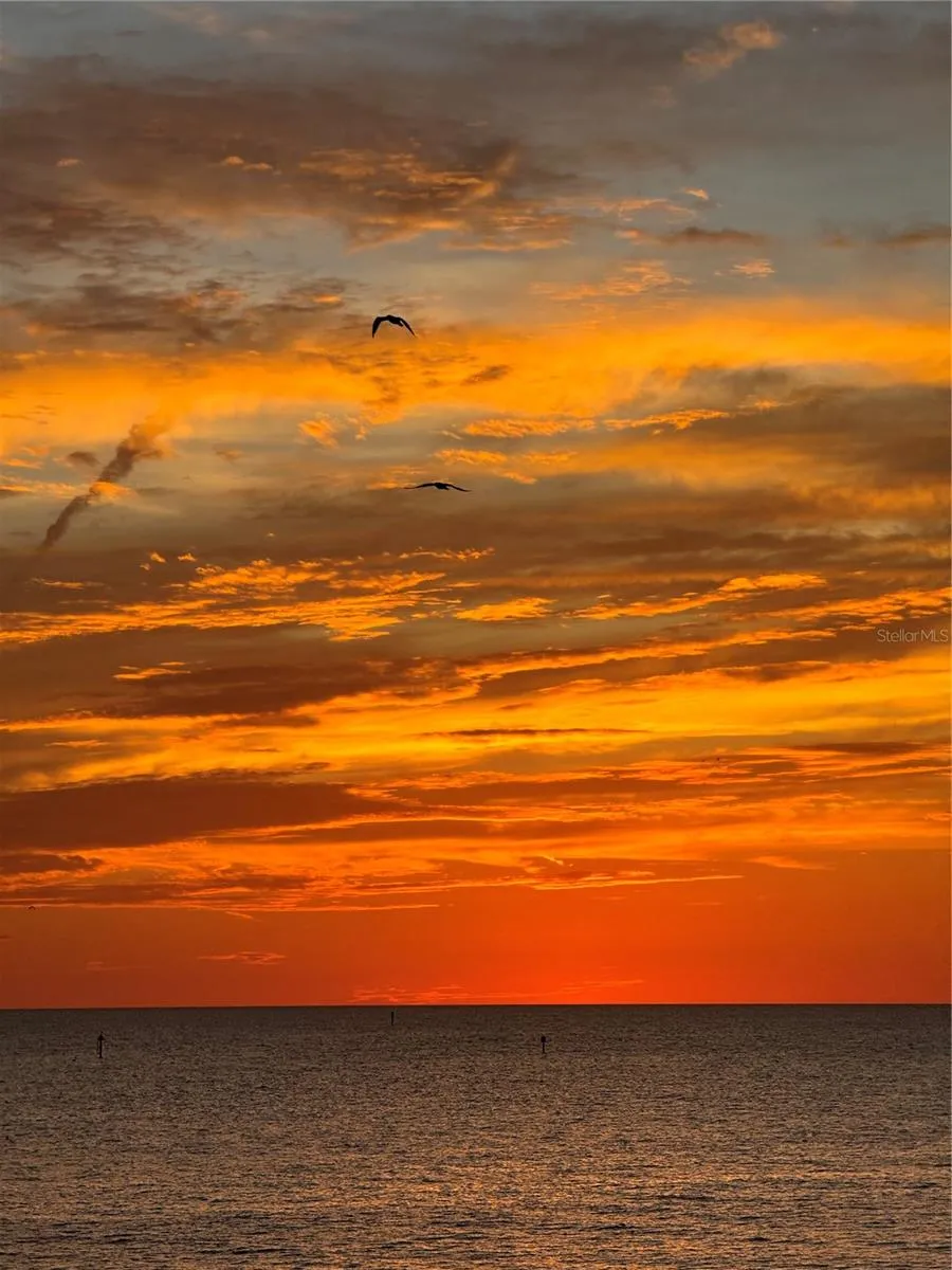 450 S GULFVIEW BOULEVARD #408 Clearwater Beach, FL 33767