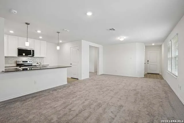 5030 BIG OAK RUN Elmendorf, TX 78112