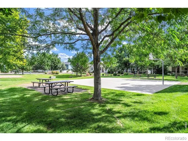 4130 Arezzo Drive Longmont, CO 80503