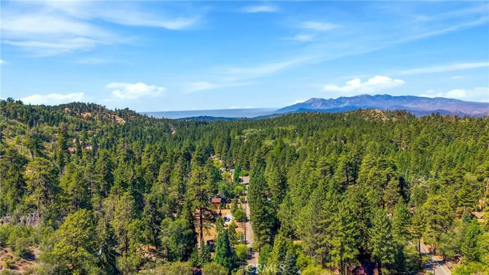 33910 Meadow Ln Green Valley Lake, CA 92341
