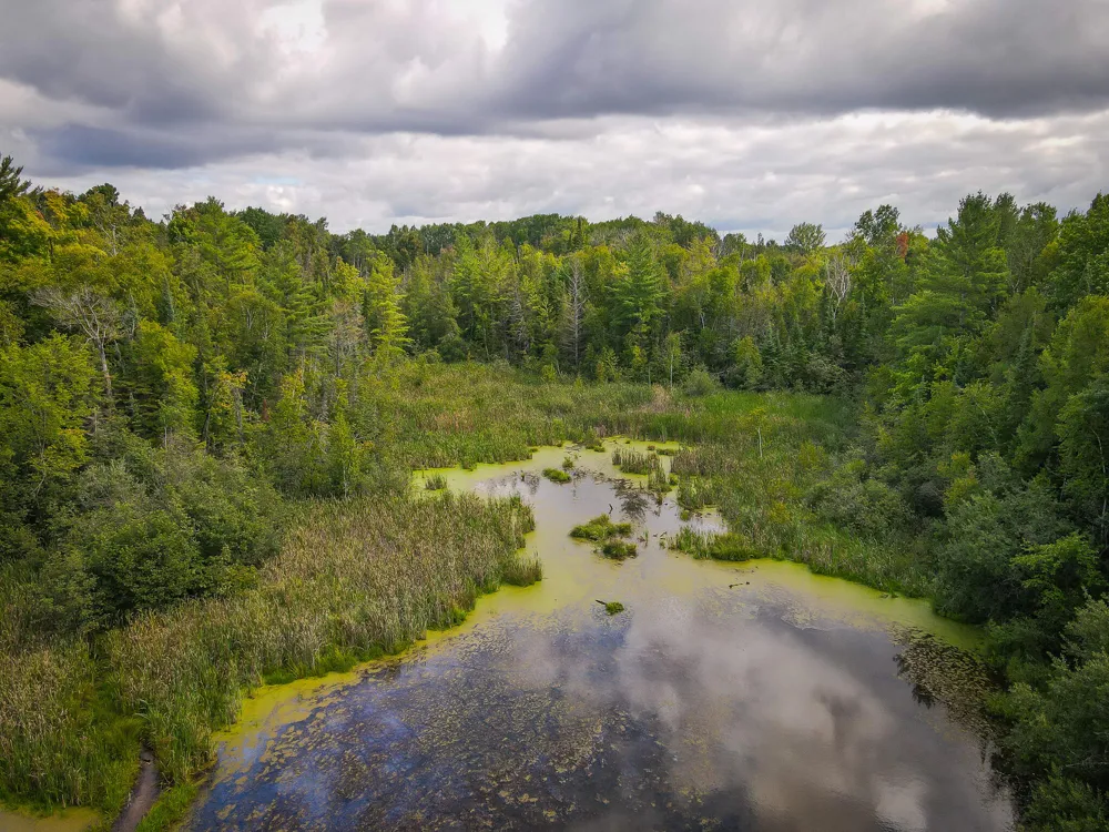 5260 Hockaday Road Gladwin, MI 48624