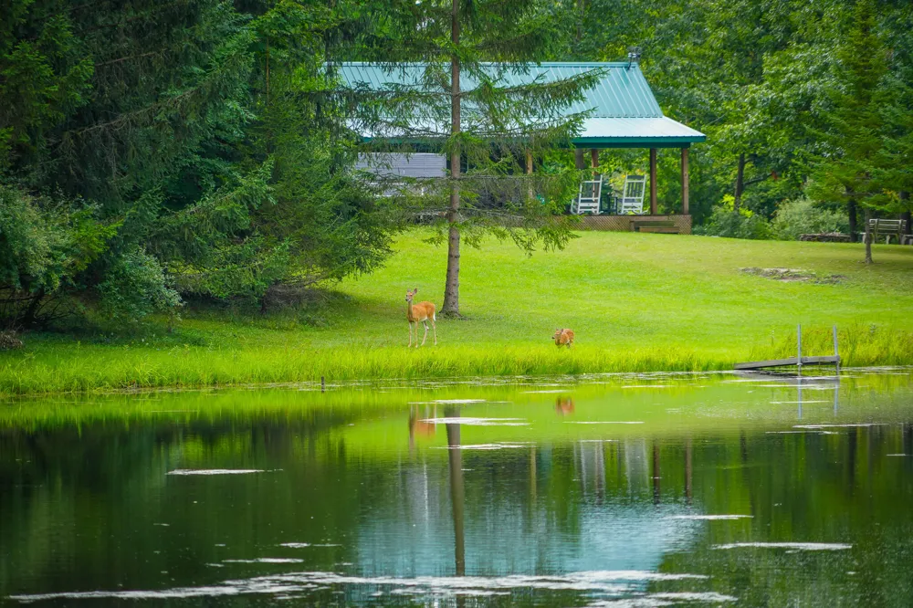 5260 Hockaday Road Gladwin, MI 48624