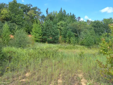 4675 Benders Ferry Rd