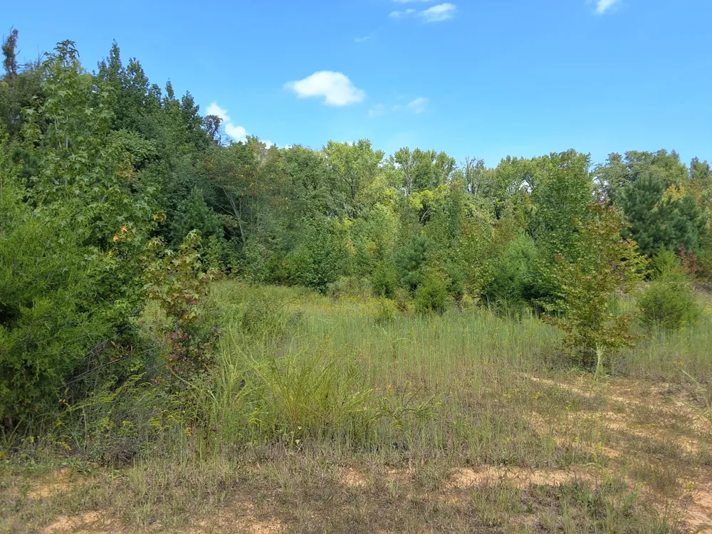 4675 Benders Ferry Rd Mount Juliet, TN 37122