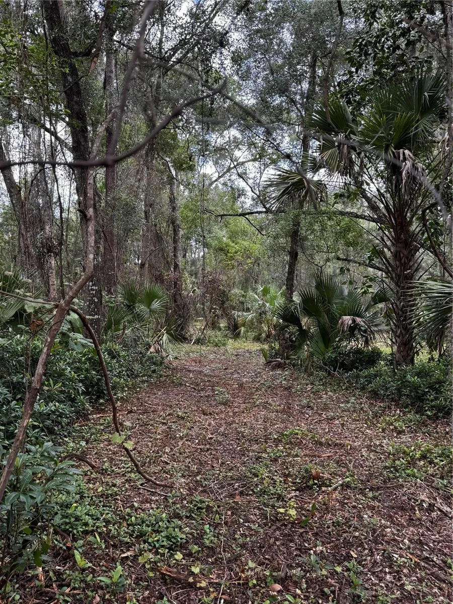 1423 LEMON STREET Deland, FL 32720
