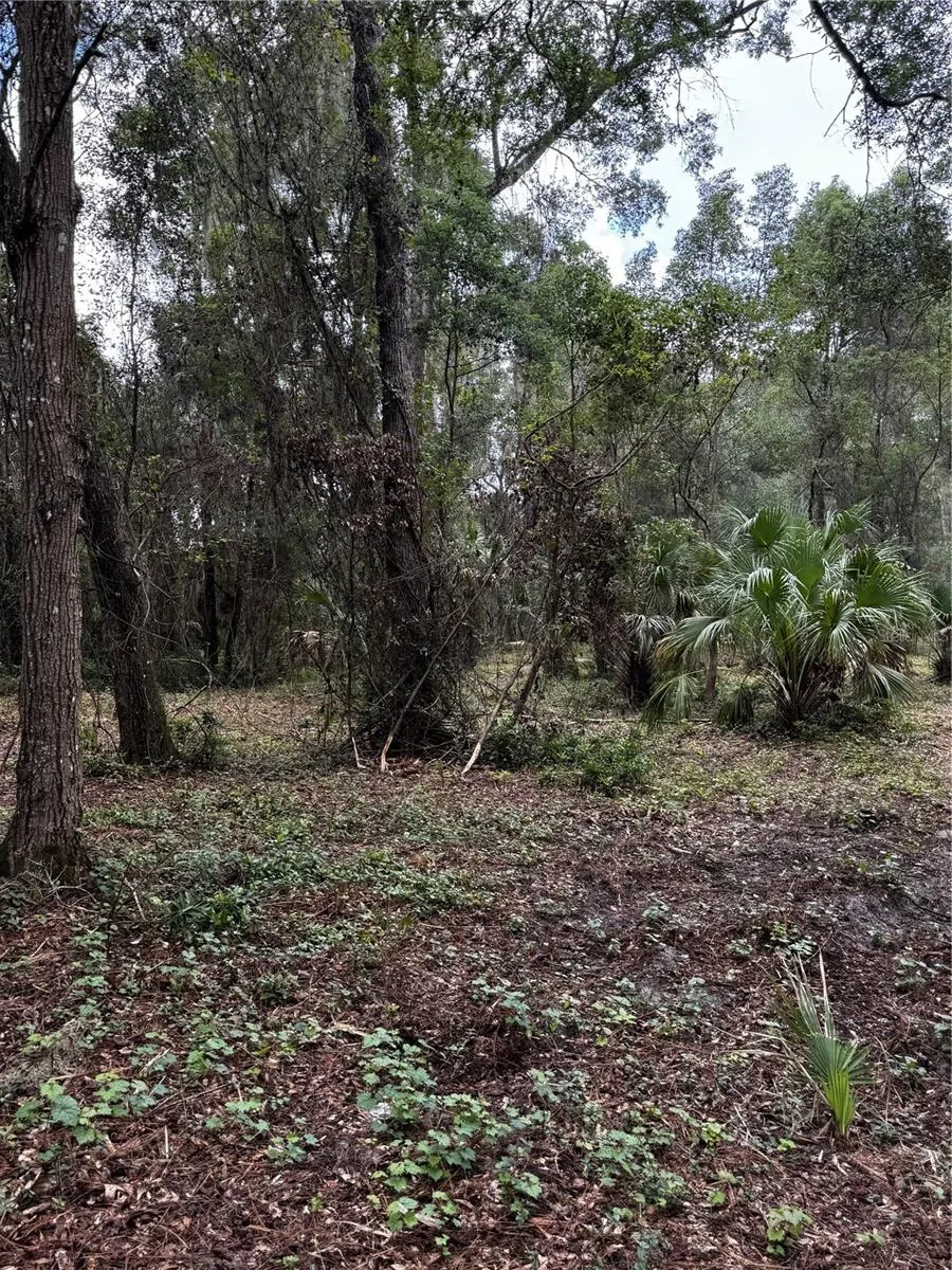 1423 LEMON STREET Deland, FL 32720