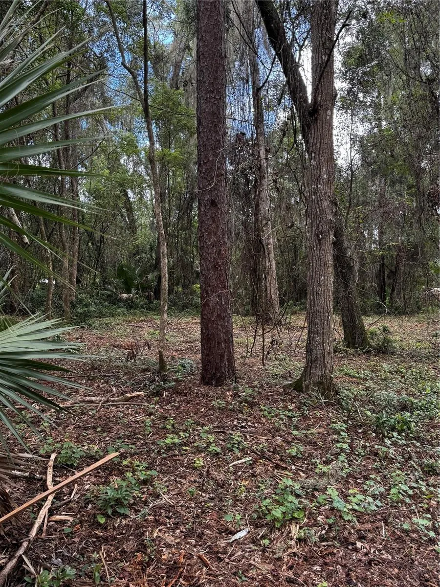 1423 LEMON STREET Deland, FL 32720