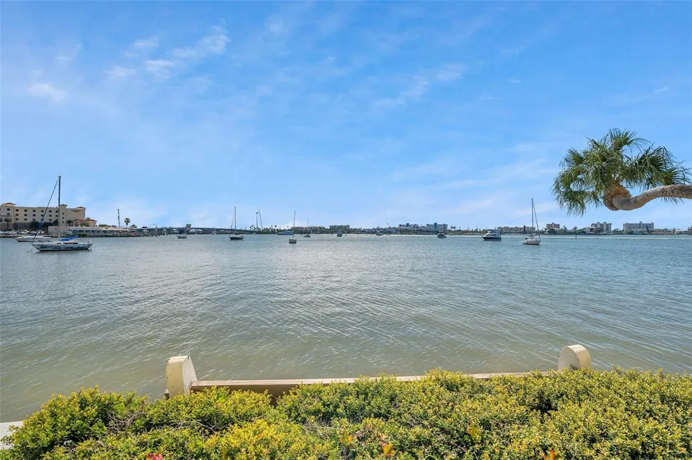 4550 COVE CIRCLE #1009 St Petersburg, FL 33708