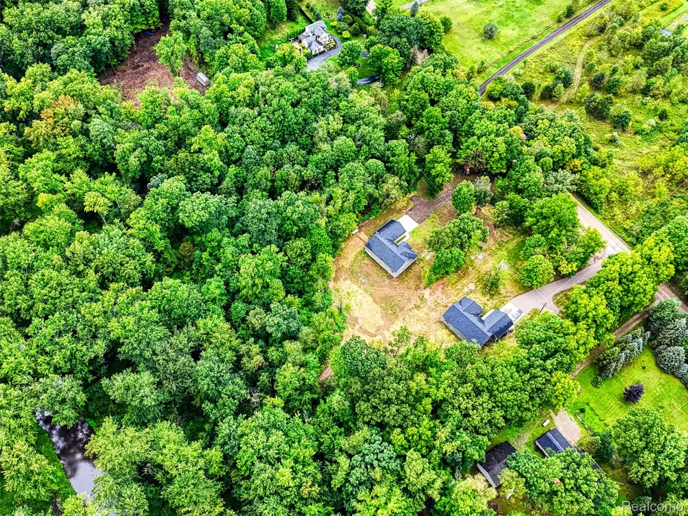 10565 W Allen Road Conway Township, MI 48836