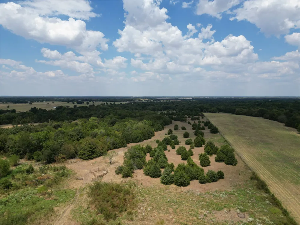 50 County Road 1026 Celeste, TX 75423