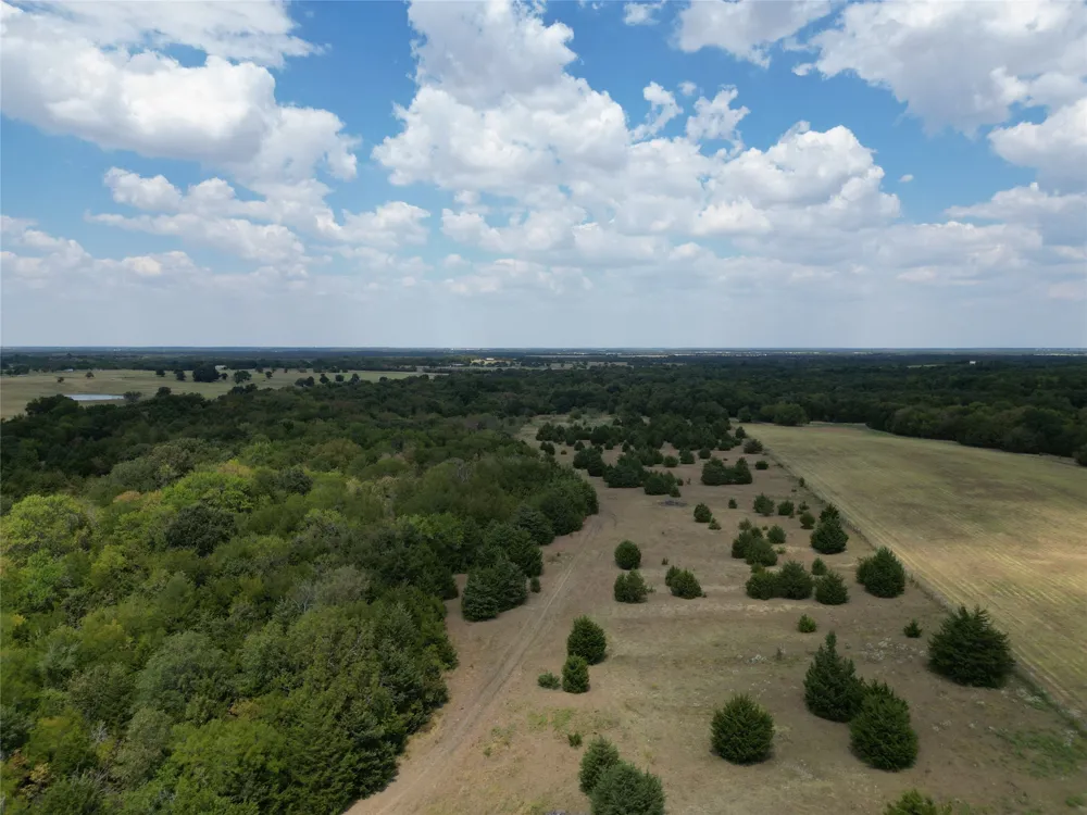 50 County Road 1026 Celeste, TX 75423