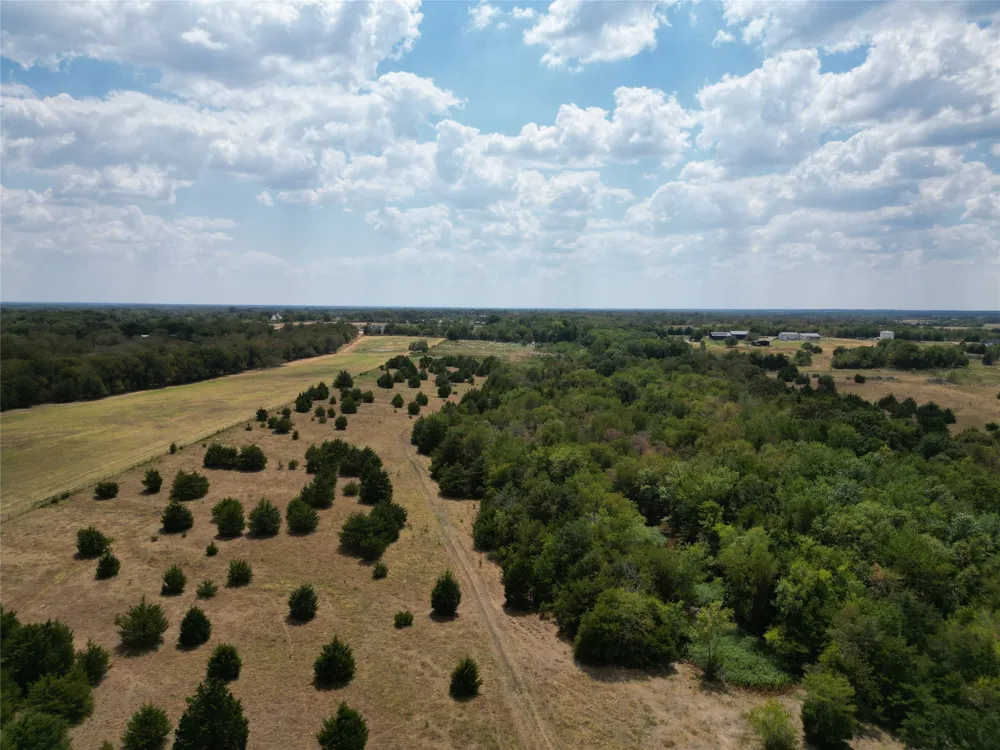 50 County Road 1026 Celeste, TX 75423