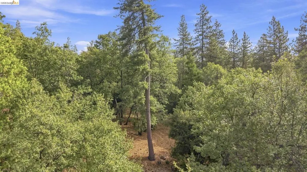 Address Not Shown Sonora, CA 95370