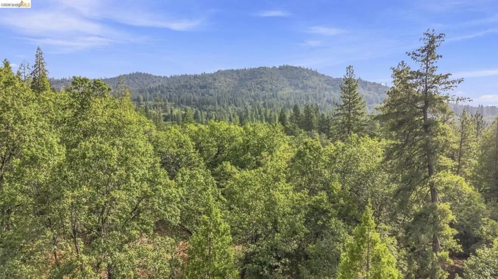 Address Not Shown Sonora, CA 95370